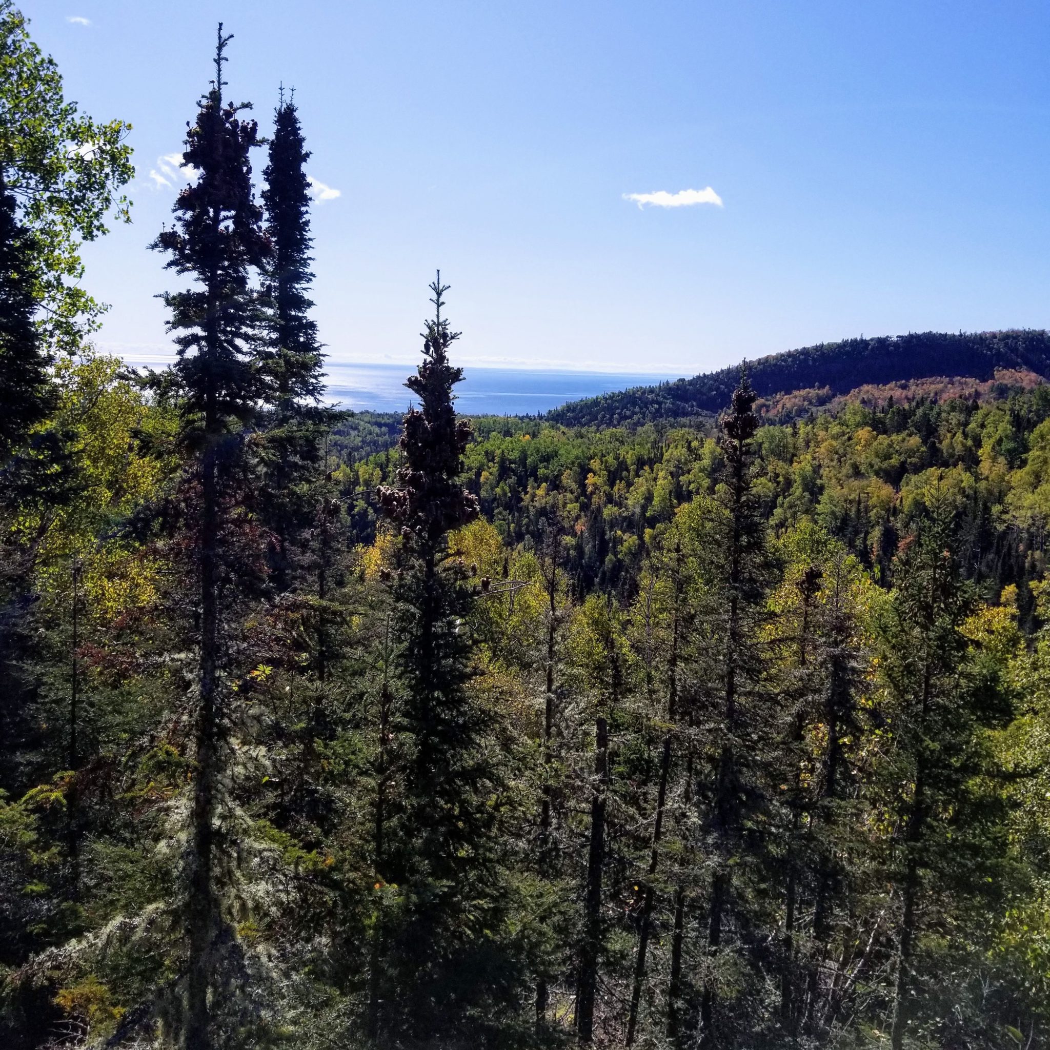 SHTA Comments on Lutsen Mountains Expansion Superior Hiking Trail